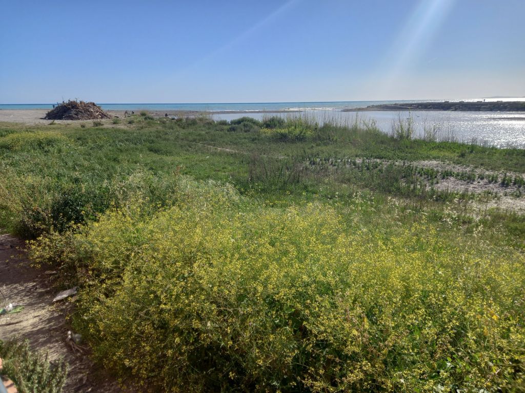 20240419_1700102579982165004597661